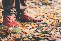 Pies del hombre de zapatillas de deporte del cuero que caminan en parque imágenes de archivo libres de regalías Pies del hombre de zapatillas de deporte del cuero que caminan en parque imágenes de archivo libres de regalías