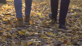 Pies masculinos y femeninos de parque lentamente que camina en hojas de otoño, paseo de la mañana, fecha almacen de video Pies masculinos y femeninos de parque lentamente que camina en hojas de otoño, paseo de la mañana, fecha almacen de video
