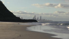 Pies przy palm beach, z Burleigh głowy i surfingowa ` s rajem jako tło zbiory Pies przy palm beach, z Burleigh głowy i surfingowa ` s rajem jako tło zbiory