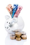 Piggy Bank And Euro Money Royalty Free Stock Photography