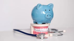 Piggy bank with White teeth model on white background. tax offset concept. Medical Expense Deductions and Tax Breaks