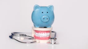 Piggy bank with White teeth model on white background. tax offset concept. Medical Expense Deductions and Tax Breaks