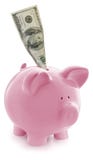 Piggy Bank With $100 In Slot Royalty Free Stock Images Piggy Bank With $100 In Slot Royalty Free Stock Images