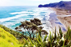 Piha plaża zdjęcia royalty free Piha plaża zdjęcia royalty free