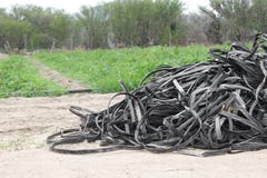 Pile of abandoned tapes for drip irrigation deteriorated, ready to be discarded field agricultural
