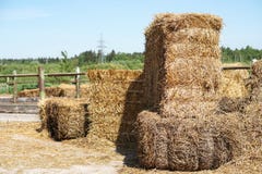 Pile del fieno per gli animali d'alimentazione sul fondo della natura immagini stock libere da diritti Pile del fieno per gli animali d'alimentazione sul fondo della natura immagini stock libere da diritti