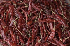 Pile des poivrons de piment rouge secs photos libres de droits Pile des poivrons de piment rouge secs photos libres de droits
