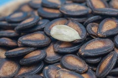Pile dried watermelon seed royalty free stock photos Pile dried watermelon seed royalty free stock photos
