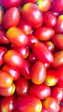 Pile of many fresh red cherry tomatoes stock photos Pile of many fresh red cherry tomatoes stock photos