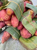 Pile of potatoes royalty free stock photo Pile of potatoes royalty free stock photo