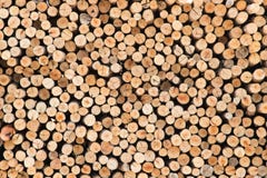 Piles Of Wood. Royalty Free Stock Photo Piles Of Wood. Royalty Free Stock Photo