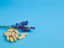 Pillole gialle assortite di forma e di dimensione con lavanda su un fondo blu immagine stock libera da diritti Pillole gialle assortite di forma e di dimensione con lavanda su un fondo blu immagine stock libera da diritti