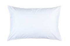 pillow with white pillow case