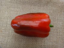 Pimenta doce - vermelho fotos de stock royalty free Pimenta doce - vermelho fotos de stock royalty free