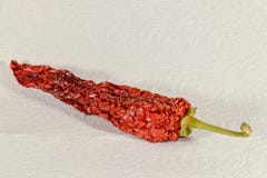 Pimenta encarnado, secada para o armazenamento foto de stock Pimenta encarnado, secada para o armazenamento foto de stock