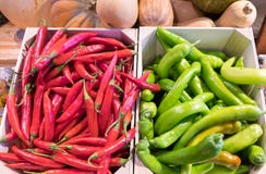 Pimientas de chile rojas y verdes calientes en el mercado de los granjeros fotografía de archivo libre de regalías Pimientas de chile rojas y verdes calientes en el mercado de los granjeros fotografía de archivo libre de regalías