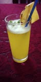 Pina Colada στο ύφος της Ιντιάνα στοκ εικόνες Pina Colada στο ύφος της Ιντιάνα στοκ εικόνες