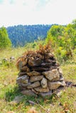 Pine cone on rock of stones royalty free stock images Pine cone on rock of stones royalty free stock images
