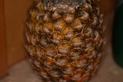 Pineapple on a counter waiting to be carved up and served royalty free stock photo Pineapple on a counter waiting to be carved up and served royalty free stock photo