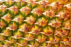 Pineapple Fruit Texture Stock Photo Pineapple Fruit Texture Stock Photo