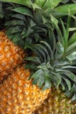 Pineapple in market