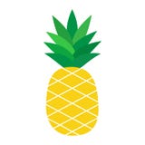 Pineapple Tropical Fruit Vector Illustration Stock Images Pineapple Tropical Fruit Vector Illustration Stock Images