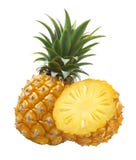Pineapple whole and half isolated on white background