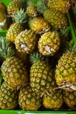 Pineapples Royalty Free Stock Photo Pineapples Royalty Free Stock Photo