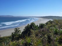 Pinguin reservation islotes de punihuil στο νησί chiloe στη Χιλή στοκ φωτογραφίες με δικαίωμα ελεύθερης χρήσης Pinguin reservation islotes de punihuil στο νησί chiloe στη Χιλή στοκ φωτογραφίες με δικαίωμα ελεύθερης χρήσης