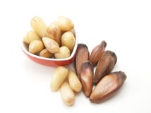 Pinhao Royalty Free Stock Images Pinhao Royalty Free Stock Images