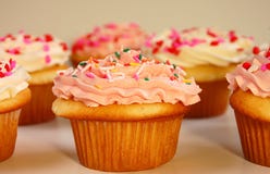 Pink And White Cupcakes Stock Photography