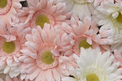 Pink Artifact Flower. Royalty Free Stock Photos