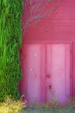 Pink Building, Doors And Plant Royalty Free Stock Photo Pink Building, Doors And Plant Royalty Free Stock Photo