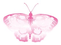 Pink Butterfly Stock Image Pink Butterfly Stock Image
