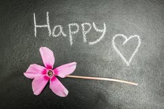 Pink flower on a black background, the word stock illustration Pink flower on a black background, the word stock illustration