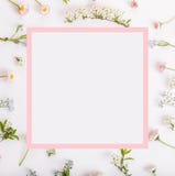 Pink flowers frame on white background. royalty free stock images Pink flowers frame on white background. royalty free stock images