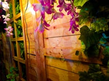 Pink flowers and wooden walls stock photos Pink flowers and wooden walls stock photos