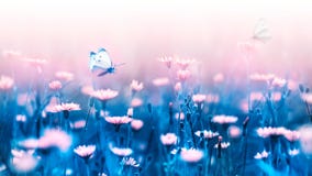 Pink Forest Flowers And Butterfly On A Background Of Blue Leaves And Stems. Artistic Natural Macro Image. Royalty Free Stock Photography