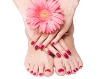 pink för blommamanicurepedicure royaltyfri foto pink för blommamanicurepedicure royaltyfri foto