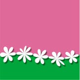 Pink Green White Flower Frame Wallpaper Background Stock Photos Pink Green White Flower Frame Wallpaper Background Stock Photos