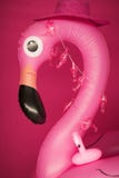 Pink inflatable flamingo on pink stock photography Pink inflatable flamingo on pink stock photography