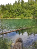Pink Lake, But Green royalty free stock photography Pink Lake, But Green royalty free stock photography