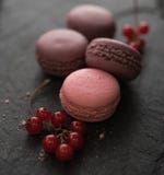 Pink macaroons red currant low key macro black board close up back light stock image Pink macaroons red currant low key macro black board close up back light stock image