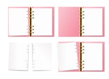 Bullet Journal: White Dot Grid Pages Pink and Gold Vintage Roses Botanical Pattern Bullet Journal Vintage Floral Print Journal, Notebook, Diary, Composition Book