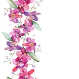 Pink Orchid Bouquet Floral Botanical Flower. Watercolor Background Illustration Set. Seamless Background Pattern. Royalty Free Stock Photo
