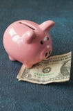 Pink Piggy bank with dollar on grey stock photos Pink Piggy bank with dollar on grey stock photos