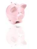 Pink Piggy Bank with Reflexion