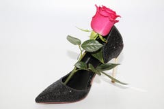 Pink rose in a female shoe. Black shoes with high heels stock images Pink rose in a female shoe. Black shoes with high heels stock images
