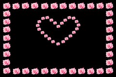 Pink Rose Valentine Heart With Border Stock Image Pink Rose Valentine Heart With Border Stock Image