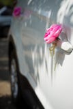 Pink roses on the car door. wedding car decorations. wedding procession stock photos Pink roses on the car door. wedding car decorations. wedding procession stock photos